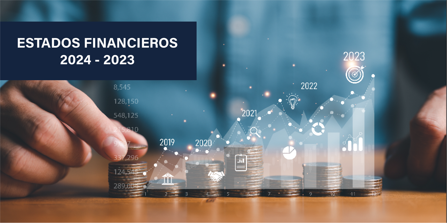 ESTADOS FINANCIEROS 2024 Y 2023