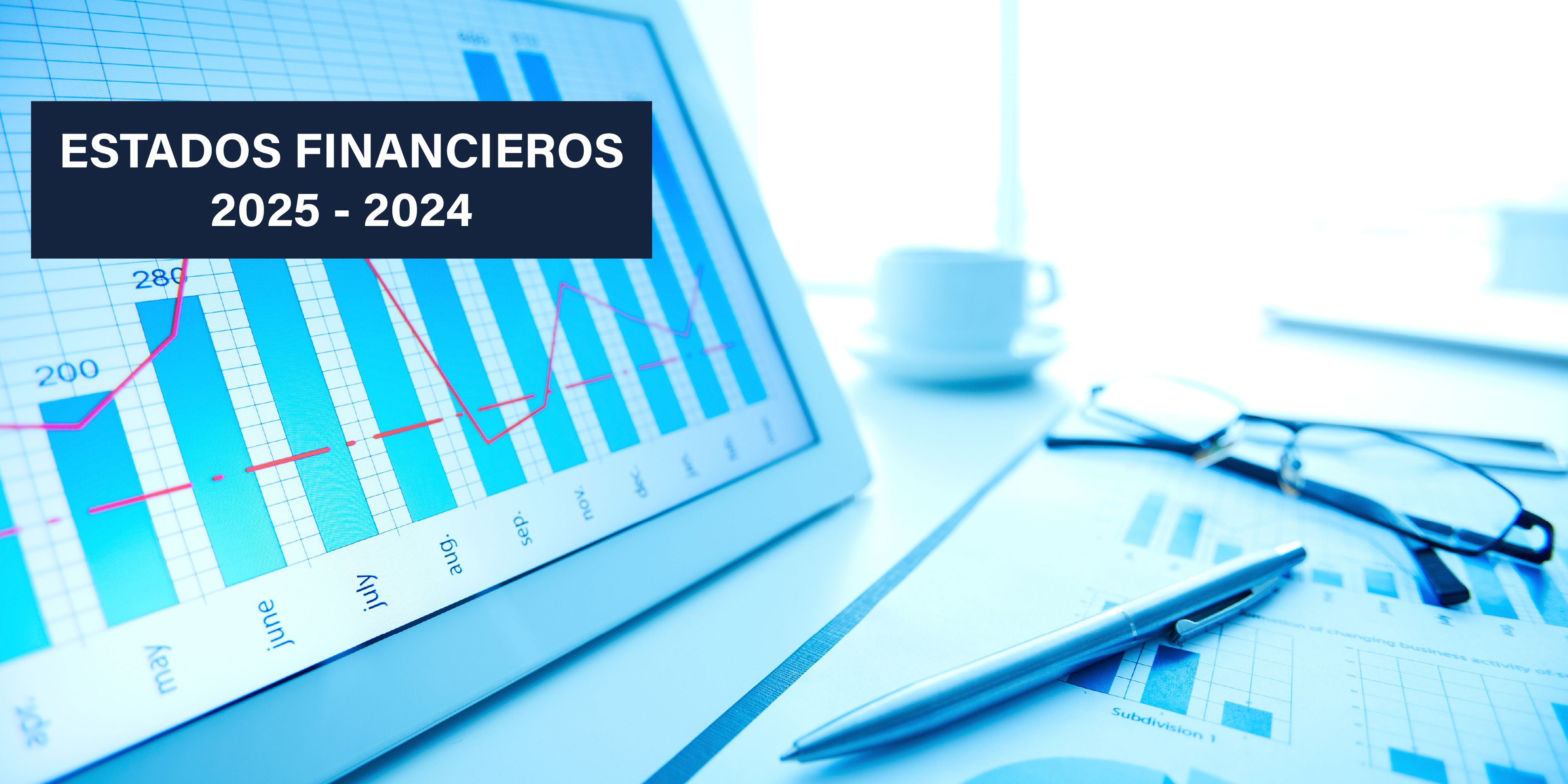 ESTADOS FINANCIEROS 2025 Y 2024
